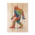 Wile E. Wood 14 x 20 in. Bartholets Rainbow Sasquatch Wood Art DBRSQ-1420